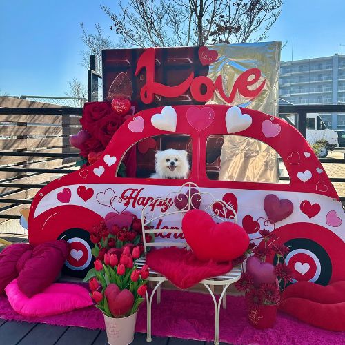 季節のフォトスポット「バレンタイン」　2026年1月