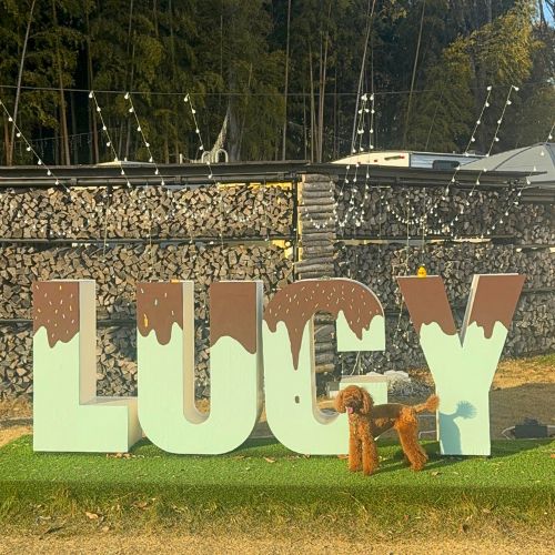 季節のフォトスポット「バレンタイン」　2026年1月