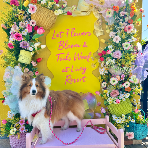 季節のフォトスポット「春のお花畑」　2026年2月