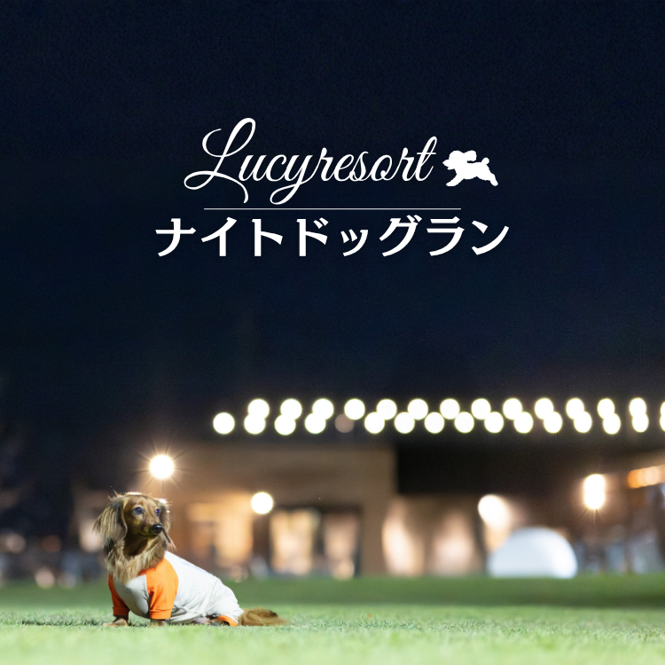 ナイトドッグラン　２０２６年５月の土曜・日曜限定で無料開催