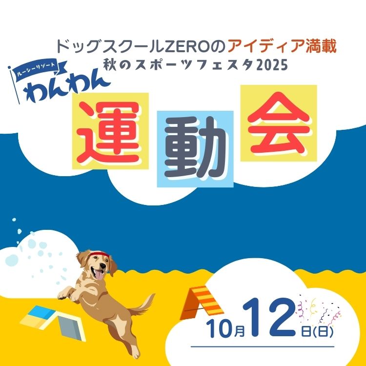 ルーシーリゾート　ドッグランでのスポーツイベント　運動会2025