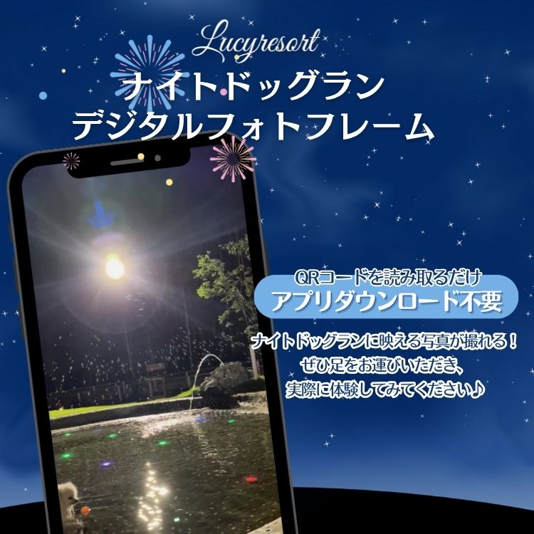 ナイトドッグラン　ARフォト