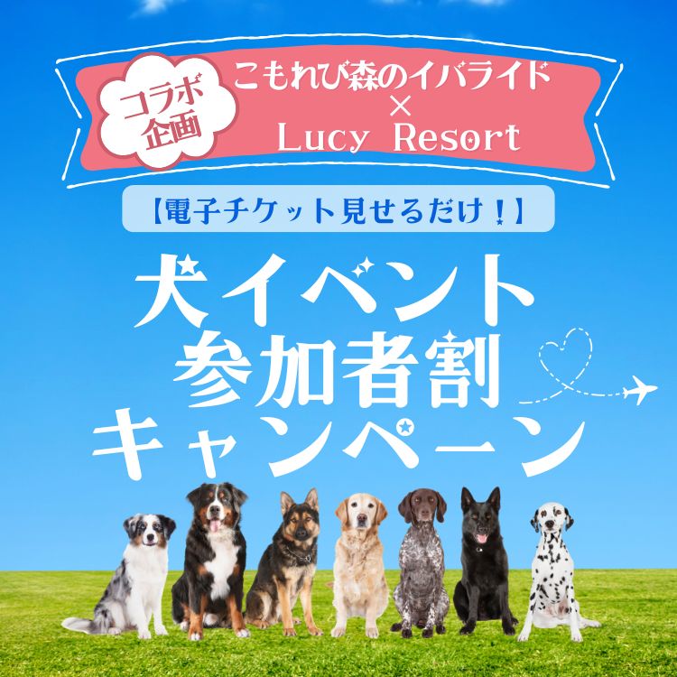 こもれび森のイバライド連動企画