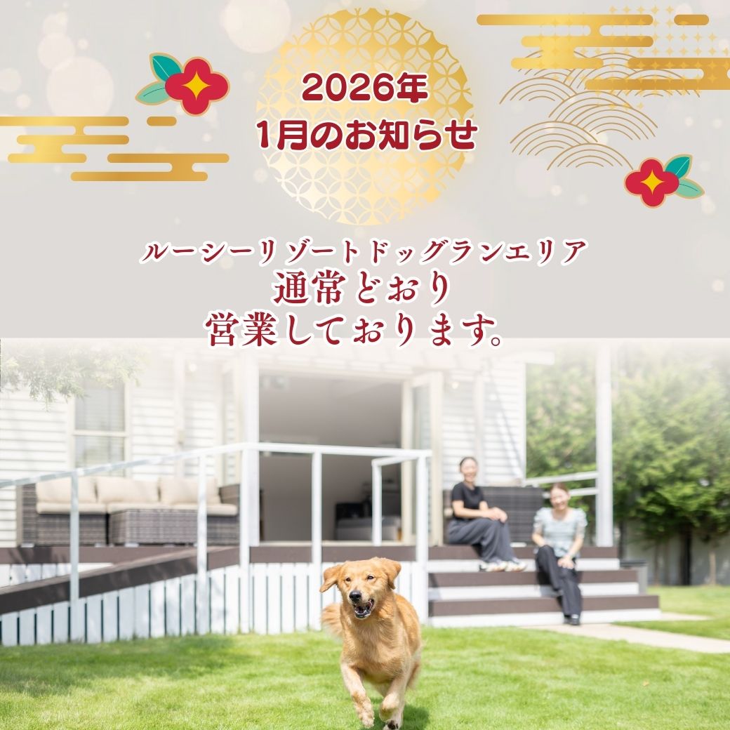ルーシーリゾートクリスマス2025