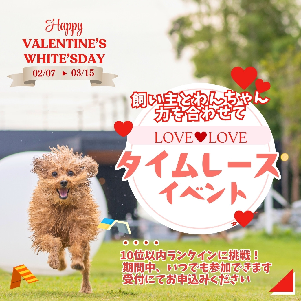 バレンタイン、ホワイトデーイベント ドッグタイムレース