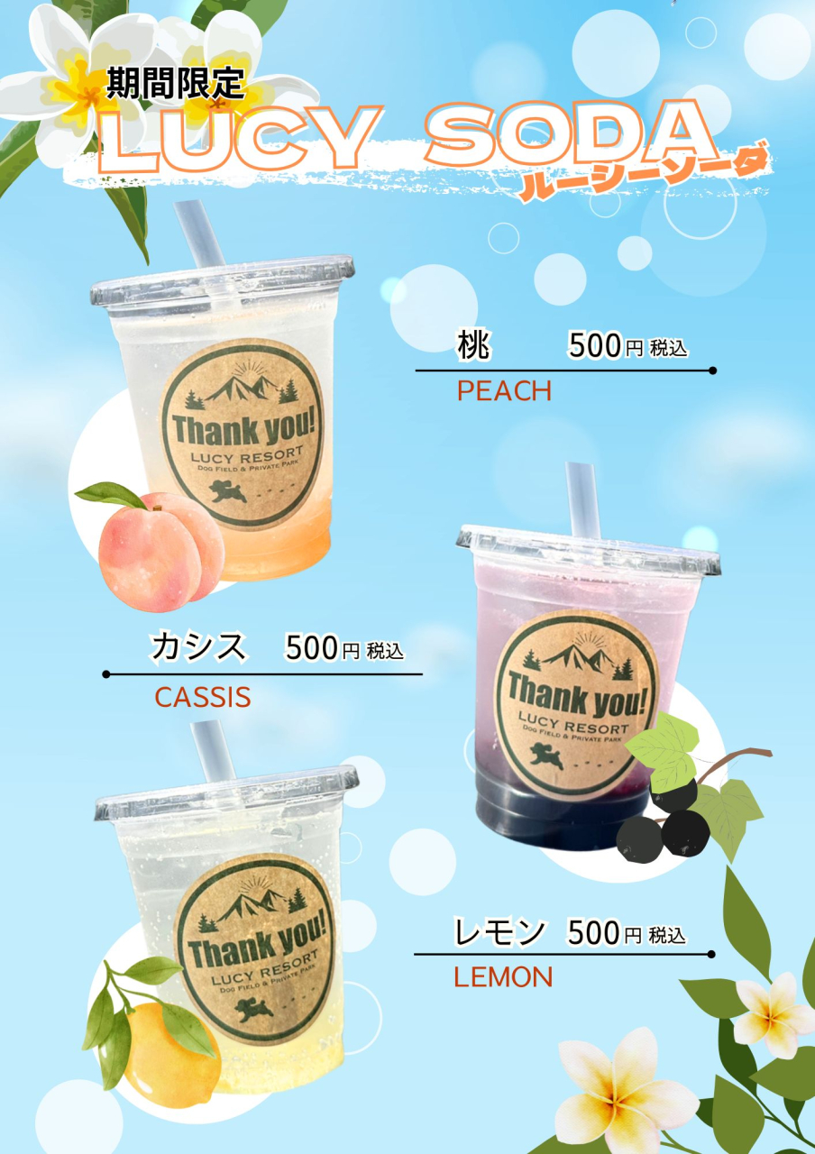 ルーシーソーダ