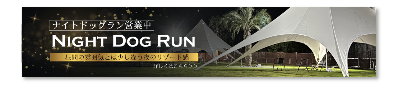 つくばでナイトドッグラン営業中