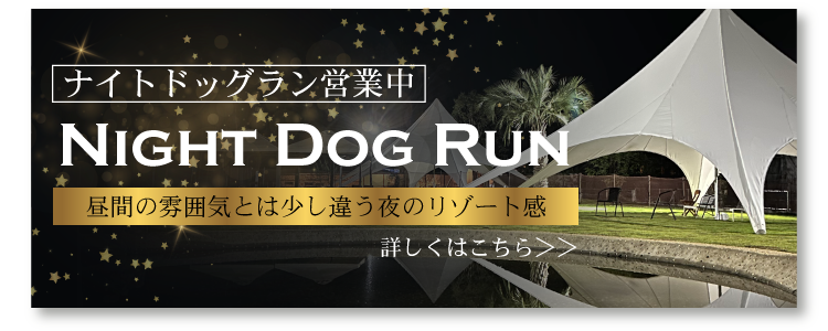 つくばでナイトドッグラン営業中