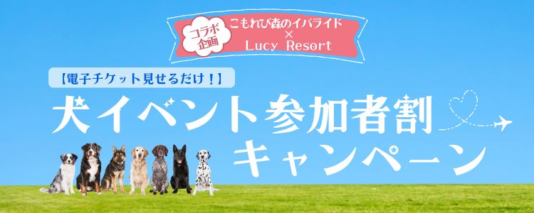 こもれび森のイバライドコラボ企画　犬イベント参加者割キャンペーン
