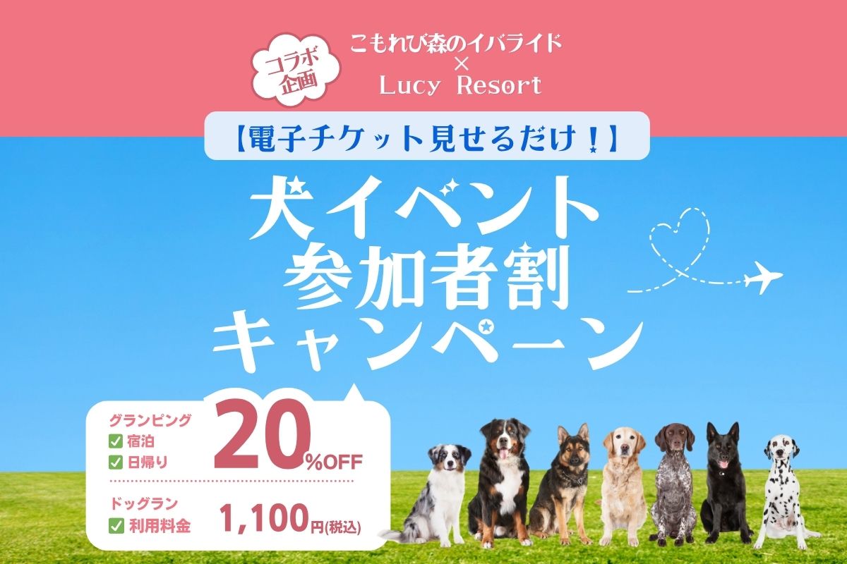こもれび森のイバライドコラボ企画　犬イベント参加者割キャンペーン